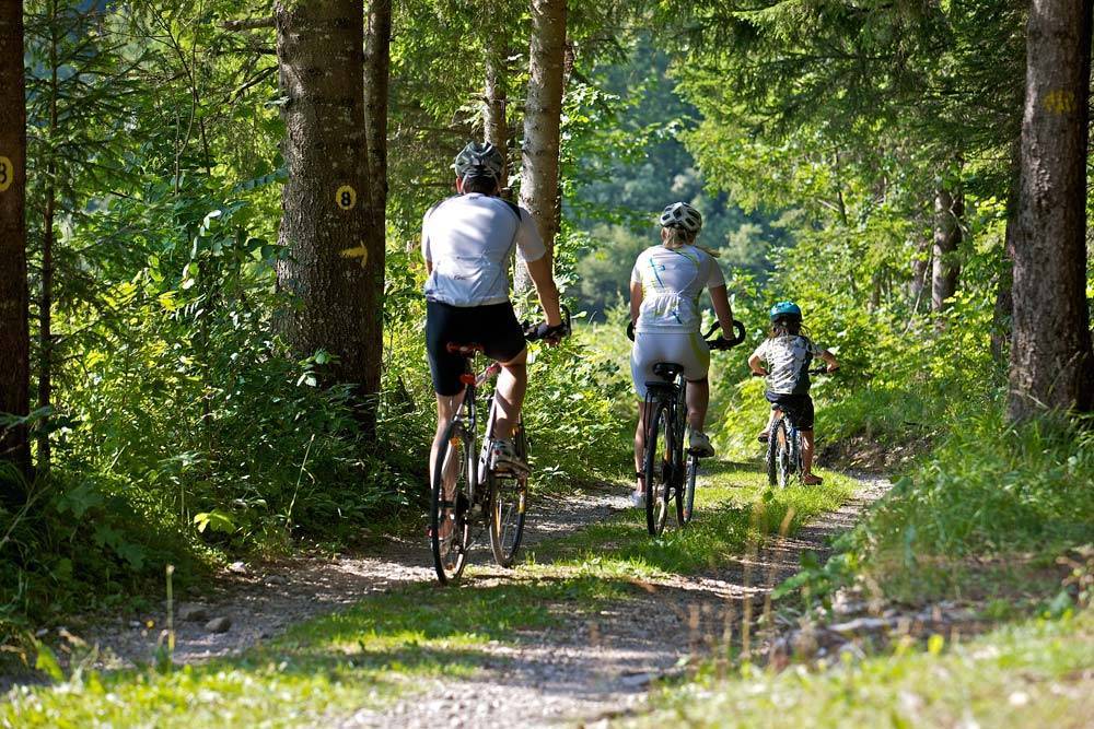 Genussradeln mit der Familie